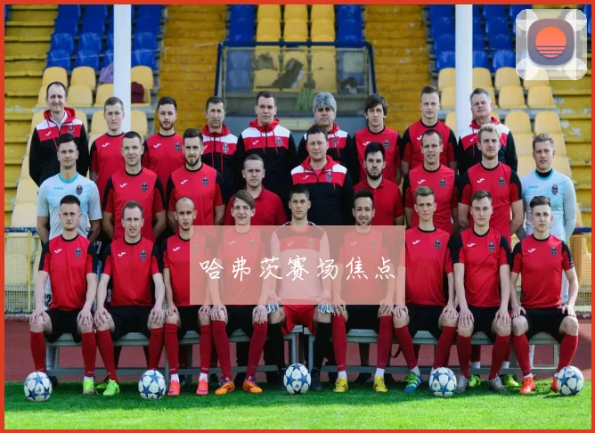 哈弗茨赛场焦点