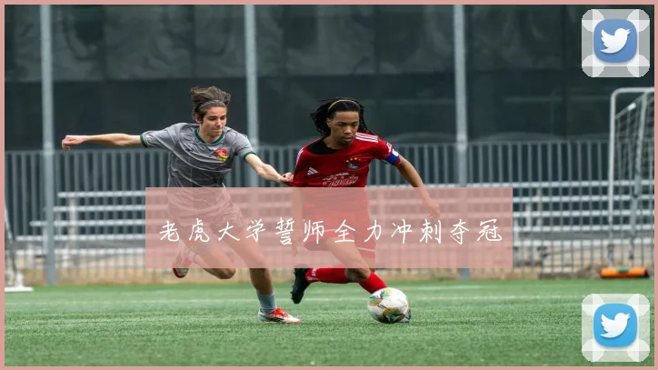 老虎大学誓师全力冲刺夺冠