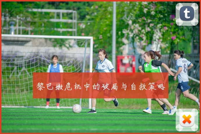 黎巴嫩危机中的破局与自救策略