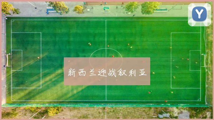 新西兰迎战叙利亚