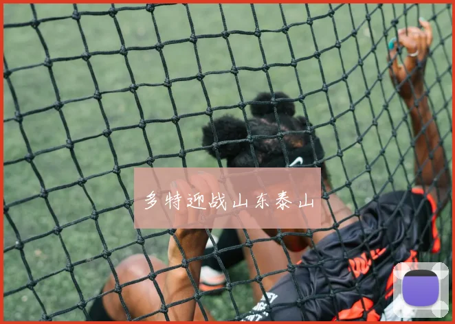 多特迎战山东泰山