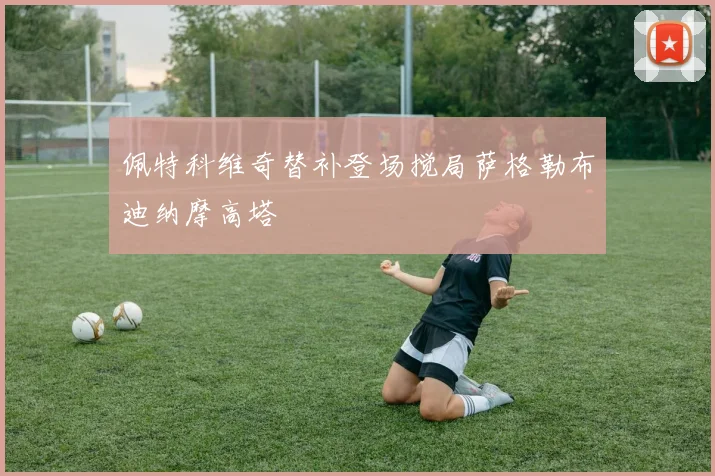 佩特科维奇替补登场搅局萨格勒布迪纳摩高塔