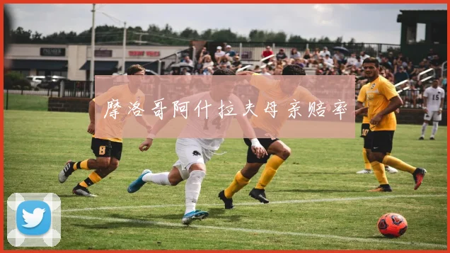 摩洛哥阿什拉夫母亲赔率