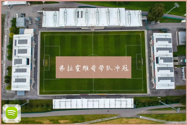 弗拉霍维奇带队冲冠