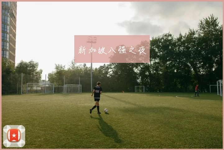 新加坡八强之夜