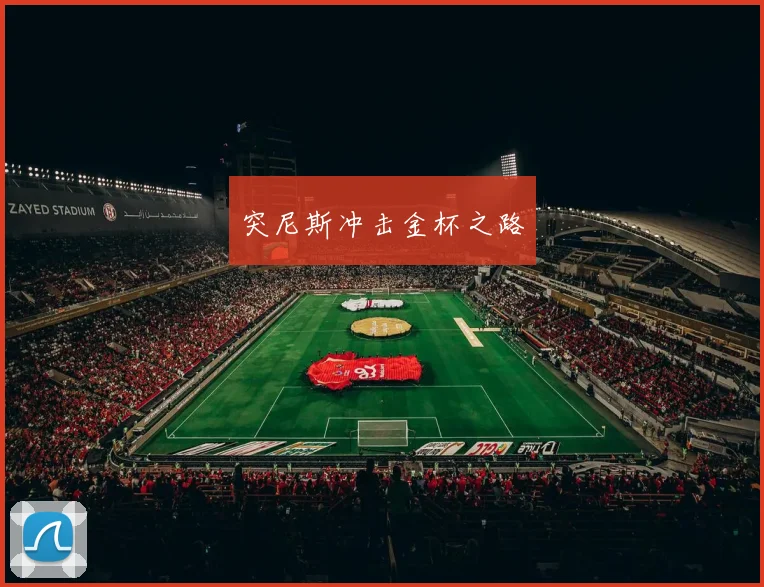 突尼斯冲击金杯之路