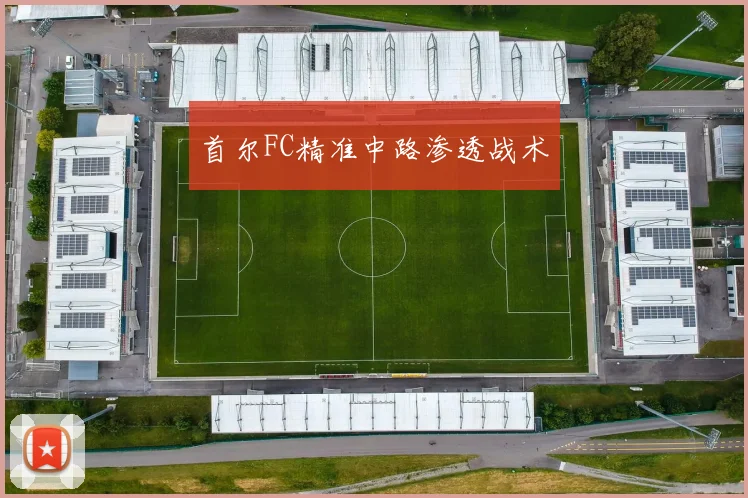 首尔FC精准中路渗透战术