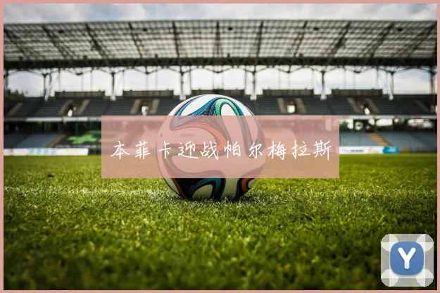 本菲卡迎战帕尔梅拉斯