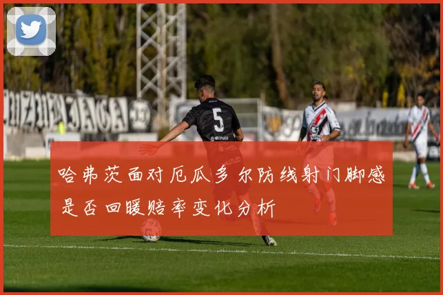 哈弗茨面对厄瓜多尔防线射门脚感是否回暖赔率变化分析
