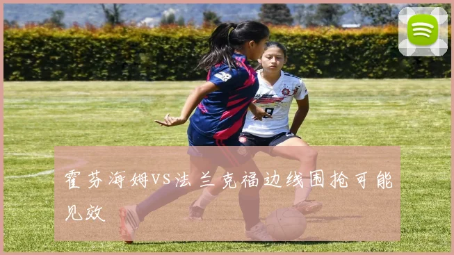 霍芬海姆vs法兰克福边线围抢可能见效