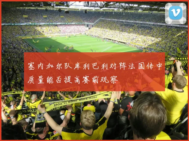 塞内加尔队库利巴利对阵法国传中质量能否提高赛前观察