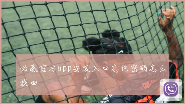 必赢官方app安装入口忘记密码怎么找回